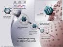 RNA interferenca –budućnost genetske terapije?