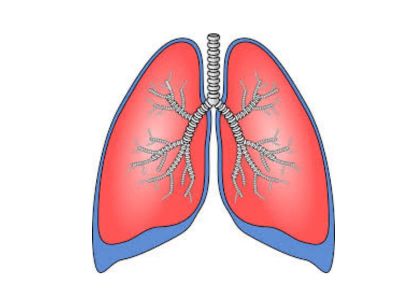 Hiperventilacija je simptom i predstavlja ubrzano i produbljeno disanje. Hiperventilacija se javlja kao simptom srčanih, pulmonalnih oboljenja, ali takođe i u toku paničnih i anksioznih napada.