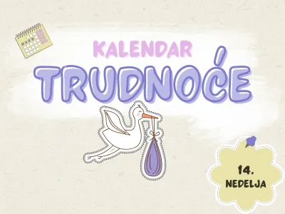 Kalendar trudnoće, 14. nedelja