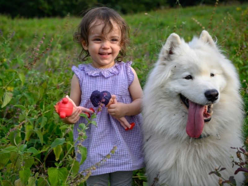 Da li je kućnim ljubimcima mesto uz bebu?