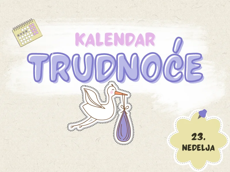 23. nedelja trudnoće